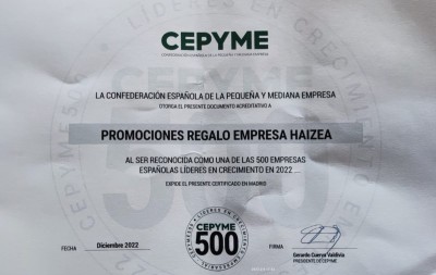 Premio cepyme 500 2022